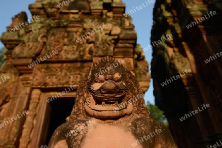 The Tempel Ruin of  Banteay Srei about 32 Km north of the Temple City of Angkor near the City of Siem Riep in the west of Cambodia.