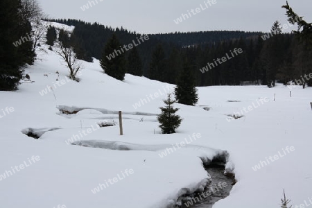 Tal mit Schnee