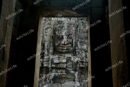 Stone Faces the Tempel Ruin of Angkor Thom in the Temple City of Angkor near the City of Siem Riep in the west of Cambodia.