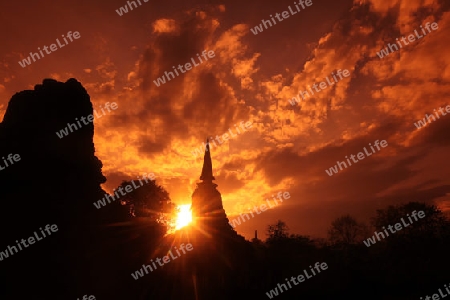 Der Wat Chang Lom im Si Satchanalai-Chaliang Historical Park rund 50 Km von Sukhothai in der Provinz Sukhothai im Norden von Thailand in Suedostasien.