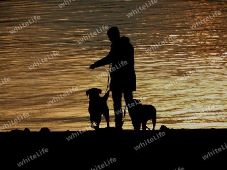 Hundeparadies Elbe       