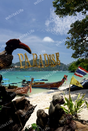 A Beach on the Island of Ko PhiPhi on Ko Phi Phi Island outside of the City of Krabi on the Andaman Sea in the south of Thailand. 