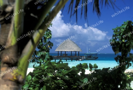 
Der Traumstrand mit Palmen und weissem Sand an der Insel Velavaru im Southmale Atoll auf den Inseln der Malediven im Indischen Ozean.   