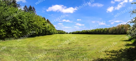 Beautiful high resolution panorama of a landscape with fields and green grass found in Denmark and Germany