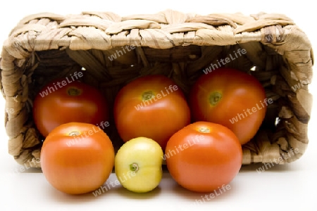 Frische Tomaten