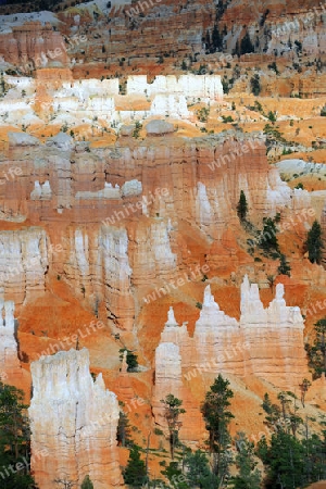 Felsformationen und Hoodoos im Bryce Canyon Nationalpark, waehrend Sonnenuntergang, Sunset Point, Utah, Suedwesten, USA