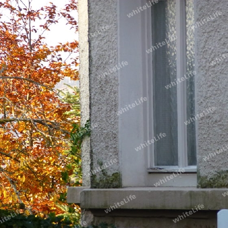 Haus im Herbst