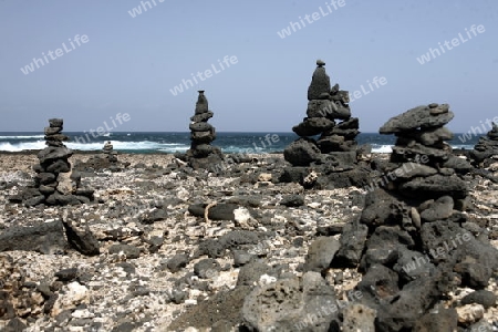 the coast of  Los Lagos on the Island Fuerteventura on the Canary island of Spain in the Atlantic Ocean.