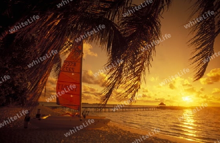 
Der Traumstrand mit Palmen und weissem Sand bei Sonnenuntergang auf der Insel Velavaru im Southmale Atoll auf den Inseln der Malediven im Indischen Ozean. 