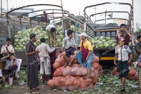 a fegetable market in a Market near the City of Yangon in Myanmar in Southeastasia.