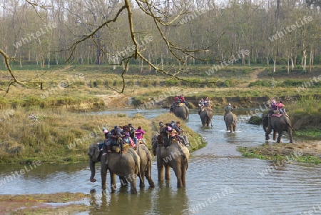 Nepal - Elefantenritt im Chitwan Nationalpark