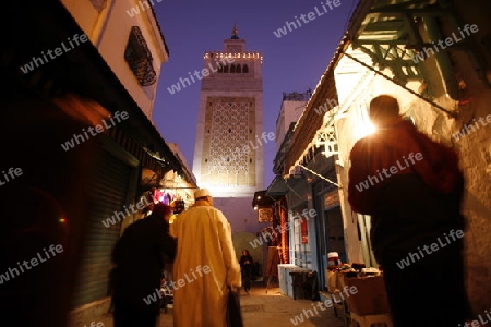 Afrika, Nordafrika, Tunesien, Tunis
Die Grosse Moschee Zaytouna mit einer Marktgasse in der Medina oder  Altstadt der Tunesischen Hauptstadt Tunis. 






