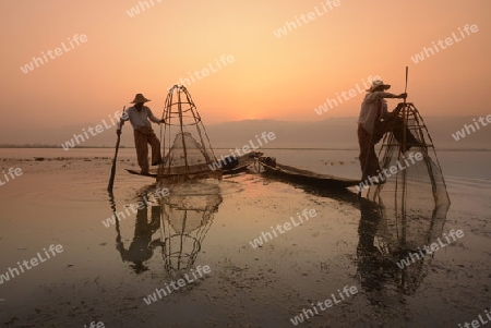 Fishermen at sunrise in the Landscape on the Inle Lake in the Shan State in the east of Myanmar in Southeastasia.