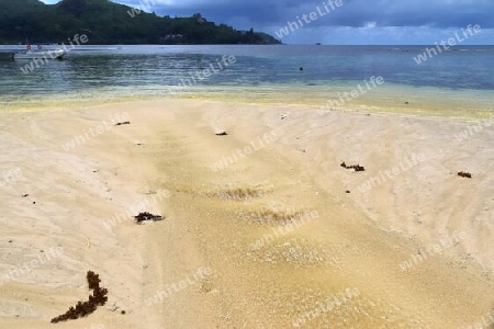 Sunny day beach view on the paradise islands Seychelles.