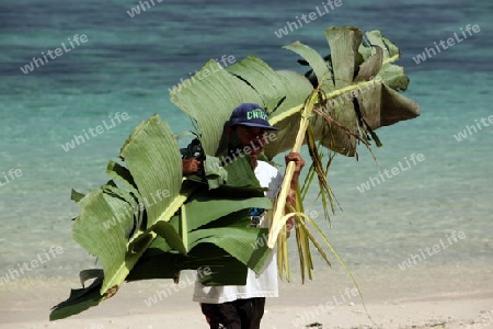 Asien, Suedost, Indonesien, Bali, Insel, Nusa Lembongan, Jungutbatu, Dorf, Meer, Kueste, Strand, Mann, Alltag, Bananenblatt, Natur,    (Urs Flueeler) 