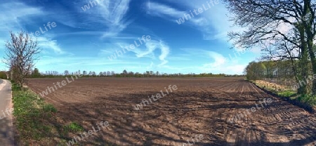 Beautiful high resolution panorama of a northern european country landscape with fields and green grass.