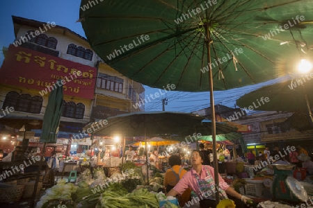 fegetable at the morning Market in Nothaburi in the north of city of Bangkok in Thailand in Southeastasia.