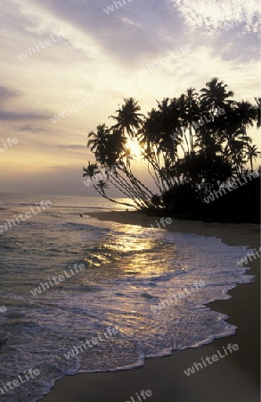 Asien, Indischer Ozean, Sri Lanka,
Ein Traumstrand beim Kuestendorf Hikkaduwa an der Suedwestkueste von Sri Lanka. (URS FLUEELER)






