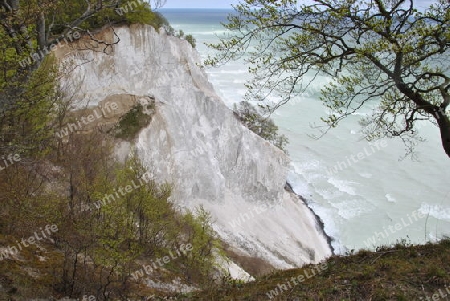 Steilhang, Kreidefelsen