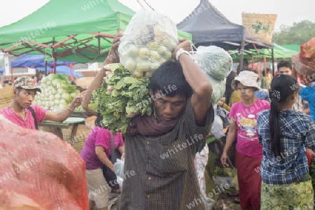 a fegetable market in a Market near the City of Yangon in Myanmar in Southeastasia.