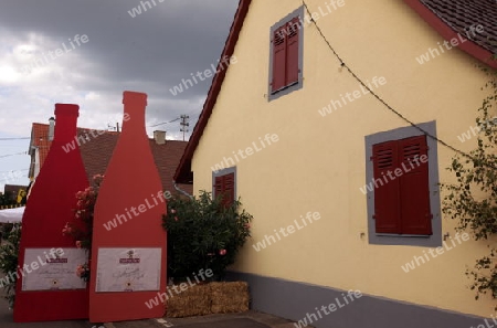  the old town of the villige  Sasbach in Kaiserstuhl in the Blackforest in the south of Germany in Europe.