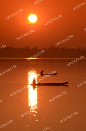 Ein Fischer auf dem See in Amnat Charoen im Isan im osten von Thailand,