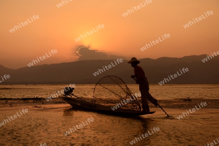 Fishermen at sunrise in the Landscape on the Inle Lake in the Shan State in the east of Myanmar in Southeastasia.