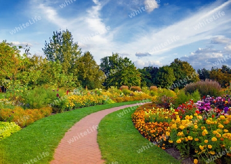 Herbst im Park 