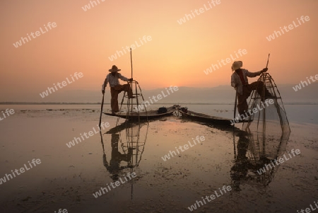 Fishermen at sunrise in the Landscape on the Inle Lake in the Shan State in the east of Myanmar in Southeastasia.