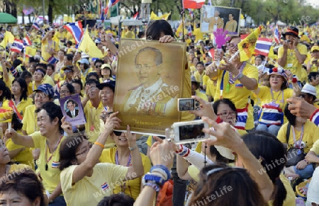 Tausende von Thailaender zelebrieren den Kroenungstag des Koenig Bhumibol auf dem Sanam Luang Park vor dem Wat Phra Kaew in der Stadt Bangkok in Thailand in Suedostasien.  