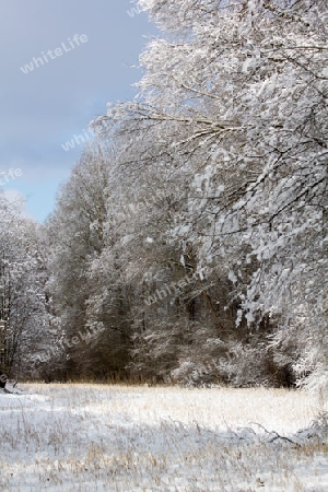 Winterliche Landschaft bin der Innau bei Alzgern