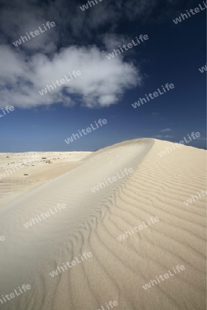 the Sanddunes of Corralejo in the north of the Island Fuerteventura on the Canary island of Spain in the Atlantic Ocean.