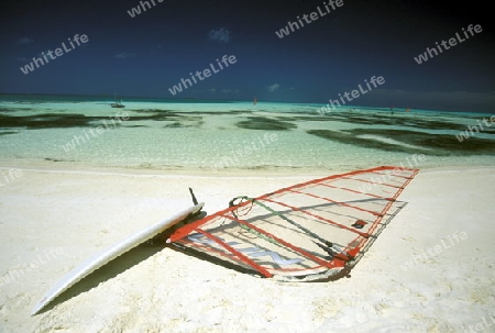 
Surfbretter am Strand der Insel Meeru im Northmale Atoll auf den Inseln der Malediven im Indischen Ozean. 