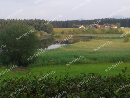 Landschaft am Pelhamer See