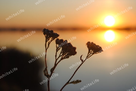 Sonnenuntergang