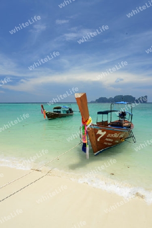 A Beach on the Island of Ko PhiPhi on Ko Phi Phi Island outside of the City of Krabi on the Andaman Sea in the south of Thailand. 