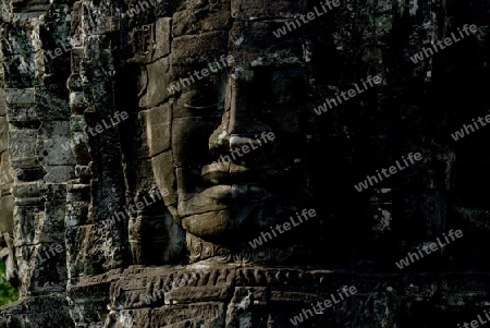 Stone Faces the Tempel Ruin of Angkor Thom in the Temple City of Angkor near the City of Siem Riep in the west of Cambodia.