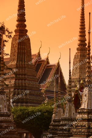 Die Tempelanlage des Wat Pho in der Hauptstadt Bangkok von Thailand in Suedostasien.