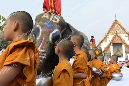 Das Songkran Fest oder Wasserfest zum Thailaendischen Neujahr ist im vollem Gange in Ayutthaya noerdlich von Bangkok in Thailand in Suedostasien.  