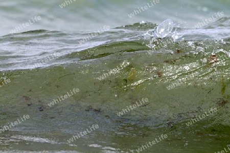 Welle an der Ostsee