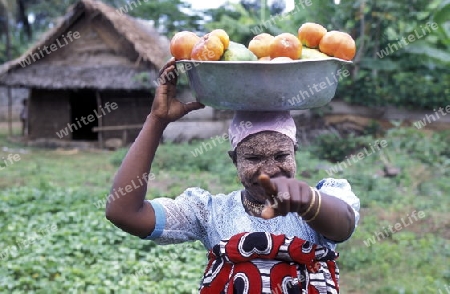 a women in the city of Moutsamudu on the Island of Anjouan on the Comoros Ilands in the Indian Ocean in Africa.   