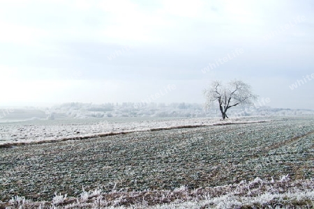 gefrorene Landschaft