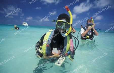 
Eine Tauchschule an der Insel Velavaru im Southmale Atoll auf den Inseln der Malediven im Indischen Ozean.