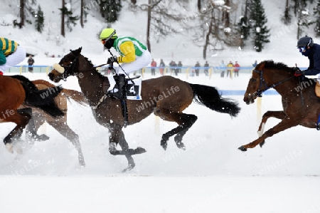 White Turf 2009 St.Moritz