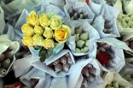 Blumen auf dem Pak Khlong Markt von Bangkok der Hauptstadt von Thailand in Suedostasien.