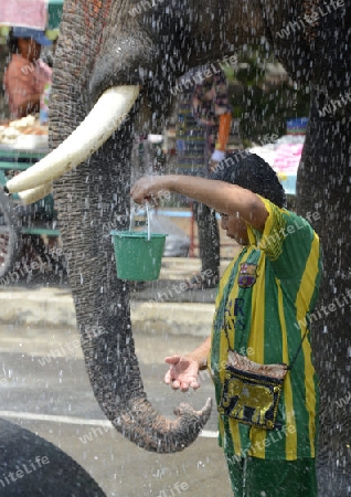 Das Songkran Fest oder Wasserfest zum Thailaendischen Neujahr ist im vollem Gange in Ayutthaya noerdlich von Bangkok in Thailand in Suedostasien.  