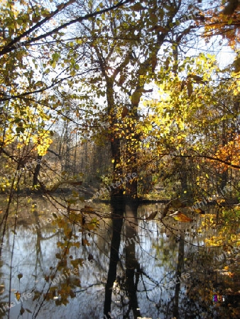 Herbst in Englischer Garten