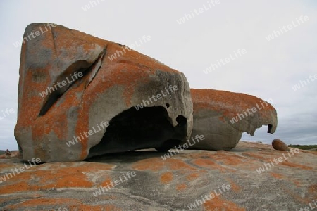 Kangaroo island