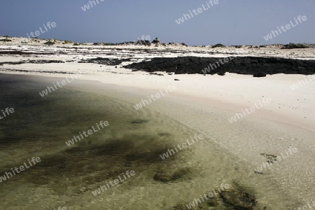 the Beach of  Los Lagos on the Island Fuerteventura on the Canary island of Spain in the Atlantic Ocean.