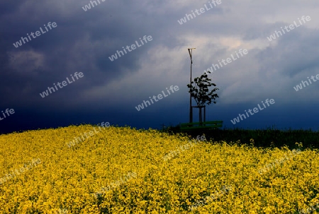 Vor dem Gewitter